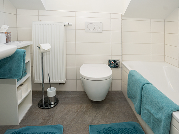 Bright bathroom with toilet in the Hotel Lamm apartment